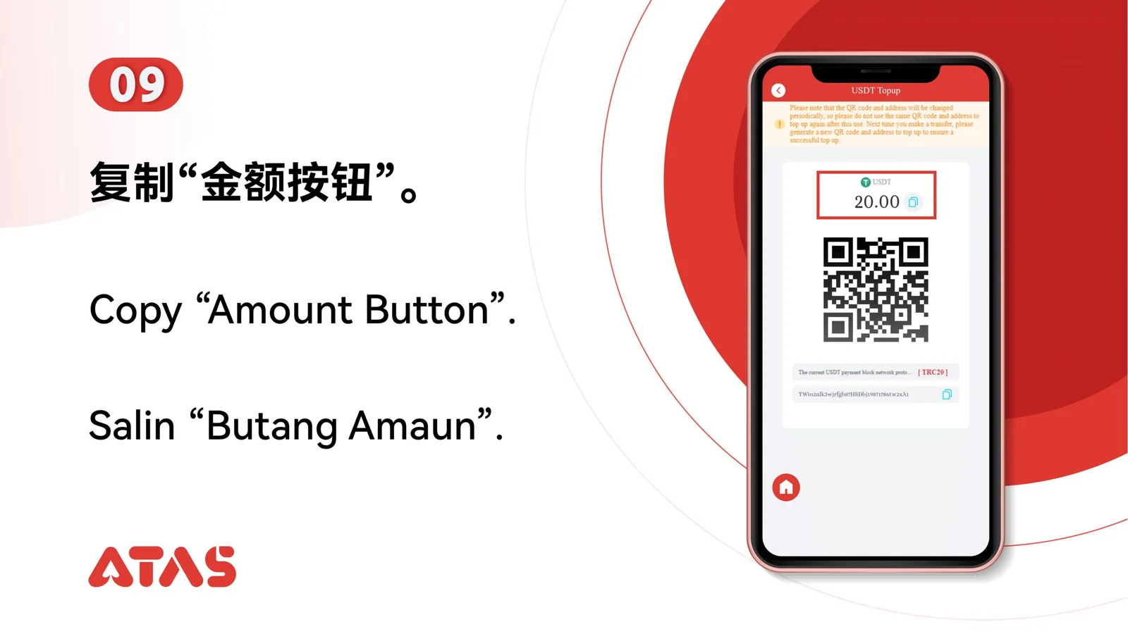 Copy the requested amount — step 10 of the USDT Top Up guide